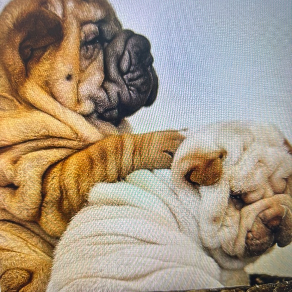 PATRICIA NASH ITALY-NWT$59.00 - 64 YEARS IN BEVERLY HILLS CA -MOVIE STAR READY - Picture 11 of 12